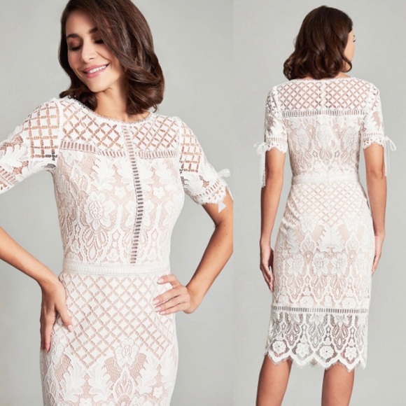 Tadashi Shoji Dresses & Skirts - Tadashi Shoji Bobek Lace Tea-Length Dress Ivory 10